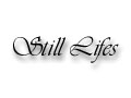 Still Lifes